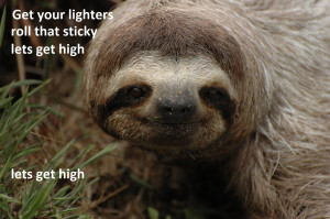 Dirty Sloth Quotes. QuotesGram