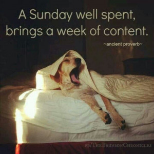 Yes! #quote #lazyday #sundayfunday