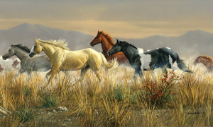 My Top Collection Horse wallpaper murals 4