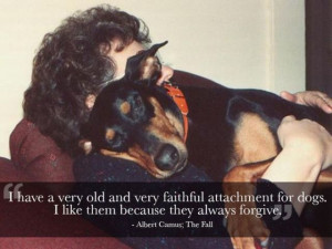 Cool Quotes That Will Make You Appreciate Your Pets (21 pics ...