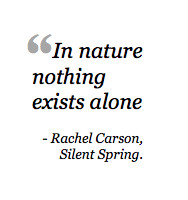 the form below to delete this quote from rachel carsonjpg image from