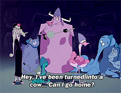 ... Groove yzma Emperors New Groove the emperors new groove gif: emperors