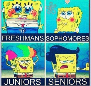 Funny Freshman Quotes High School Funny high school quotes