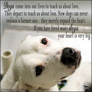 ... expand the heart. If you have loved many dogs, your heart is very big