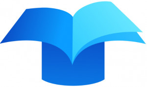 Credit Record Amnesty...