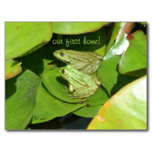 Frog Sayings Cards & More