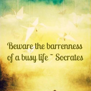 ... >> Beware the barrenness of a busy life. Socrates #quote #taolife