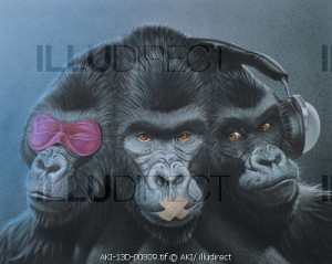 three apes: see no evil. speak no evil, hear no evil
