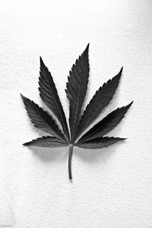photography art Black and White drugs weed marijuana mary jane lil ...