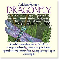 ... - Staff Pick : Advice from a Dragonfly...Be colorful...Just wing it