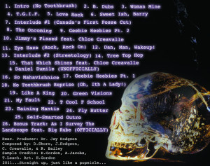 Park do Gorilão agora está com novidades, Boliche do Gorilão e ...