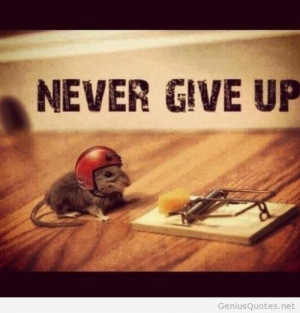 Funny never give up image quote message