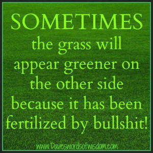 Sometimes the grass will appear greener on the otherside
