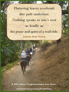 quotes, horses, trail riding, nature © 2013 Andrea Vinciguerra ...