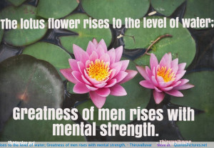 Poems About Lotus Flowers