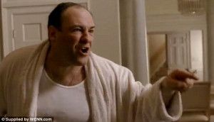 Famous: Portraying mob boss Tony Soprano on 'The Sopranos' made James ...