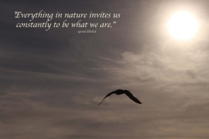 Inspirational Quote ~ Nature Photography ~ Soaring Bird Typography ...