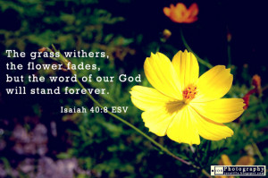Bible Quotes Isaiah 40:8 ESV