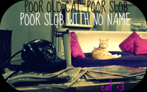 cat quotes photo: Cat - BAT Quote Cat_Breakfast_At_Tiffanys.png