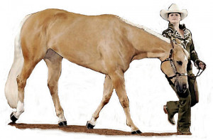 Portfolio › Palomino Quarter Horse Showmanship Portrait