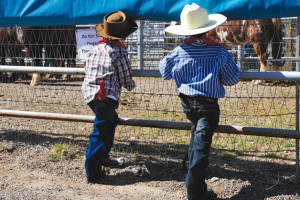 87th annual La Fiesta de los Vaqueros Rodeo. These two lil' cowboys ...