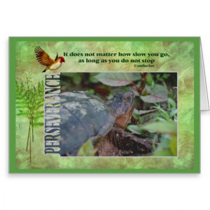 Turtle Perseverance Quote