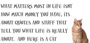 It caught MY attention. You?