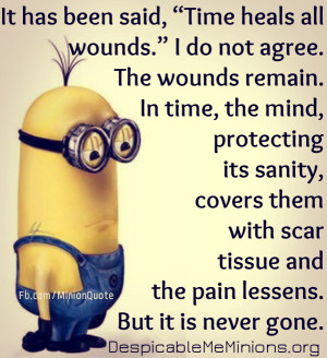 Minion-Quotes-time-heals-all-wounds.jpg