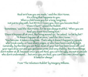 The Velveteen Rabbit Image