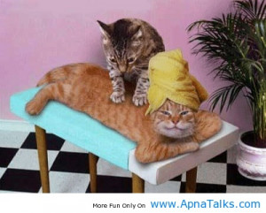 http://www.apnatalks.com/relaxing-time-massage-center/