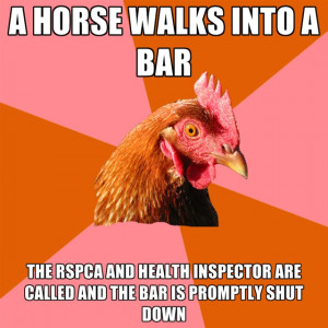 Horse Walks Into A Bar The Rspca And Health Inspector Are Called And ...