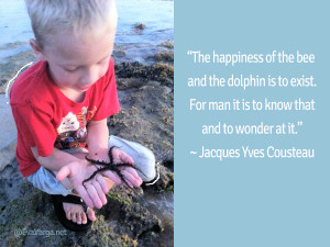jacques cousteau buceando the cousteau society