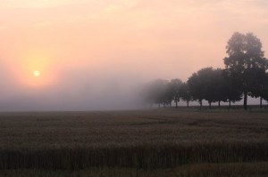 ... novel Sinful Folk ----- Read the book at http://sinfulfolk