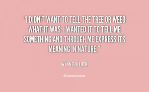 Copy the link below to share an image of this quote: