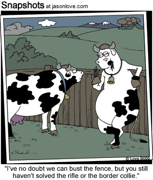 we both are great cows because we both did not complete our tasks as ...