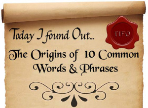 Sayings With The Word Bee http://www.todayifoundout.com/index.php/2012 ...