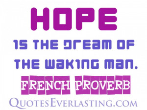 Hope is the dream of the waking man. - French Proverb