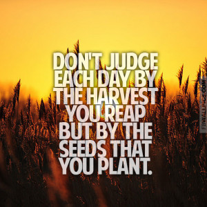 Dont Judge Each Day By The Harvest Inspiring Quote Picture