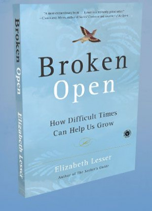 Broken Open by Elizabeth Lesser