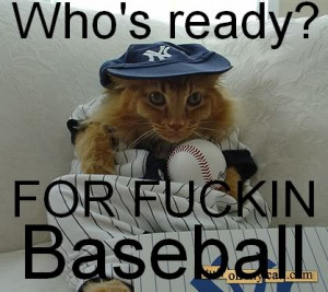 Funny Baseball Yankees Graphics, Wallpaper, & Pictures for Funny ...