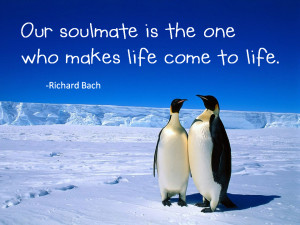Our soulmate is the one