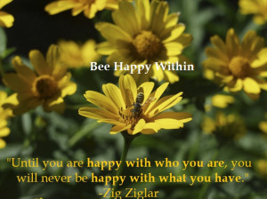 bee-happy-finding-happiness-moive