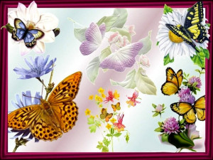 Butterflies Framed Picture