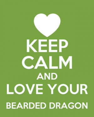 Keep Calm & Love your Bearded Dragon