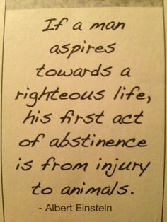 Stop Animal Abuse Quotes Fighting to stop animal abuse