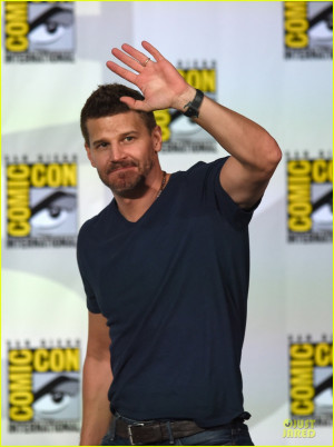 david boreanaz 2014