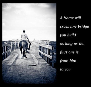 The above pictures and quotes are from http://enlightenedhorsemanship ...
