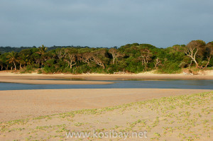 kosi bay estuary