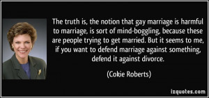 the notion that gay marriage is harmful to marriage, is sort of mind ...