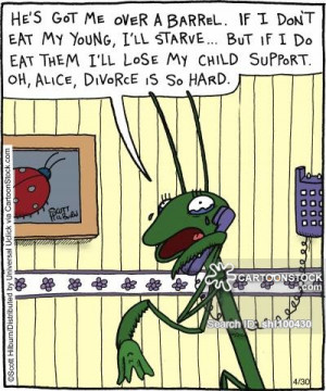 Funny Child Support Sayings Child support cartoon 1 of 29